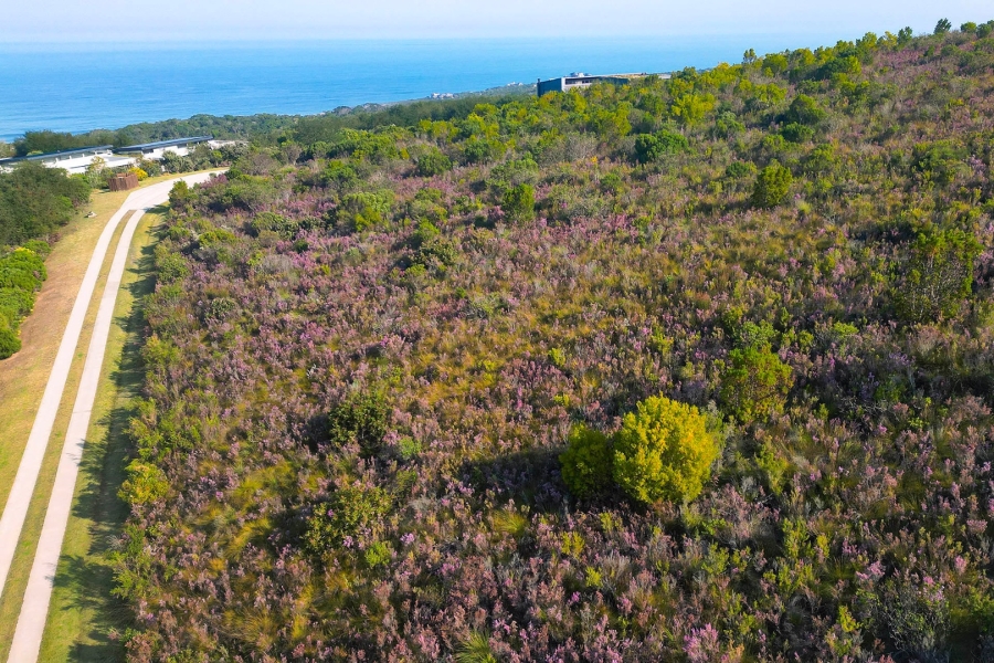 Commercial Property for Sale in Pezula Private Estate Western Cape